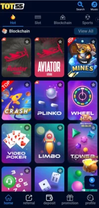 Tot55 Game main dashboard showing various popular games like Gray777, Dragon & Tiger, and Ludo