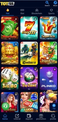 Tot55 Game main dashboard showing various popular games like Gray777, Dragon & Tiger, and Ludo